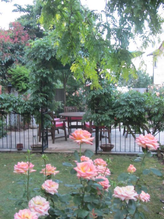 Airport Stableford B&B Крайстчёрч Экстерьер фото